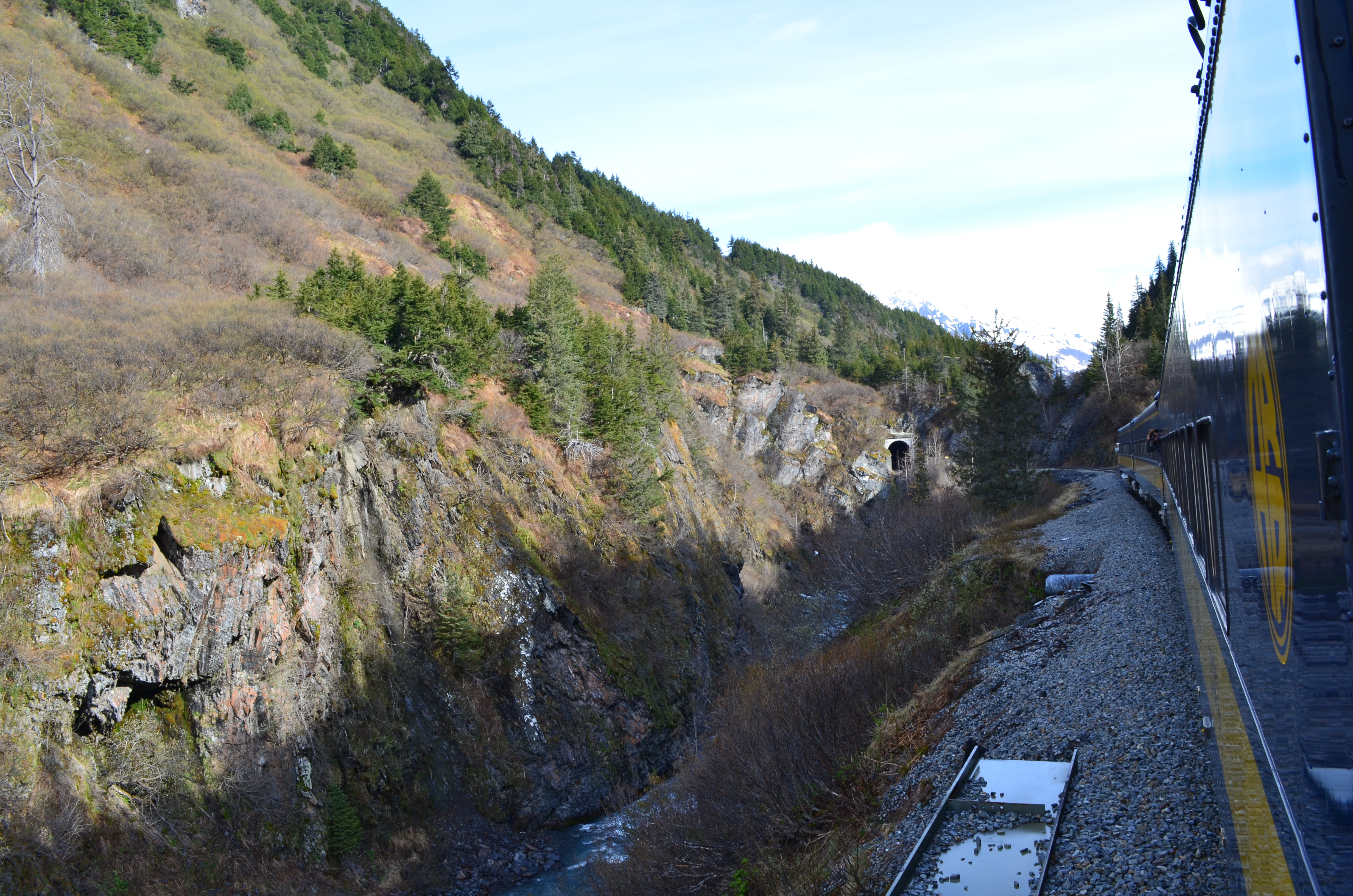 ./2017/08 - Alaska Cruise/05 - Train to Seward/DSC_0537.JPG